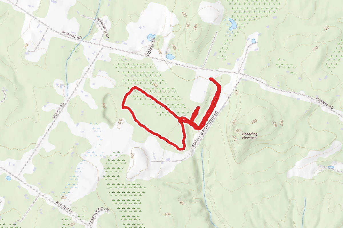 Hedgehog Trail Loop