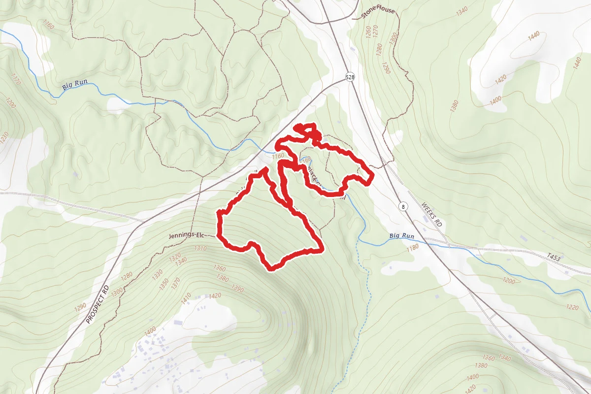 Old Elm, Black Cherry, Ridge, and Woodwhisper Loop