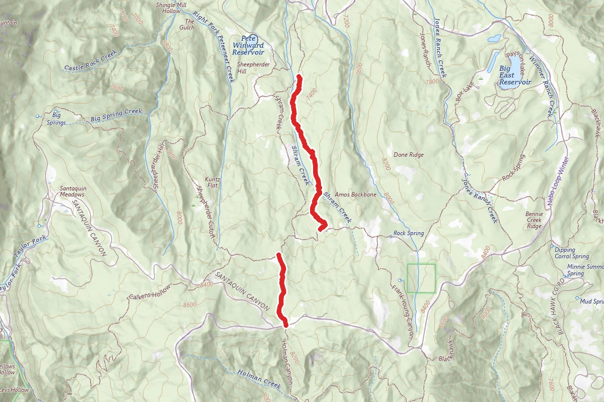 Lizard Lake Trail