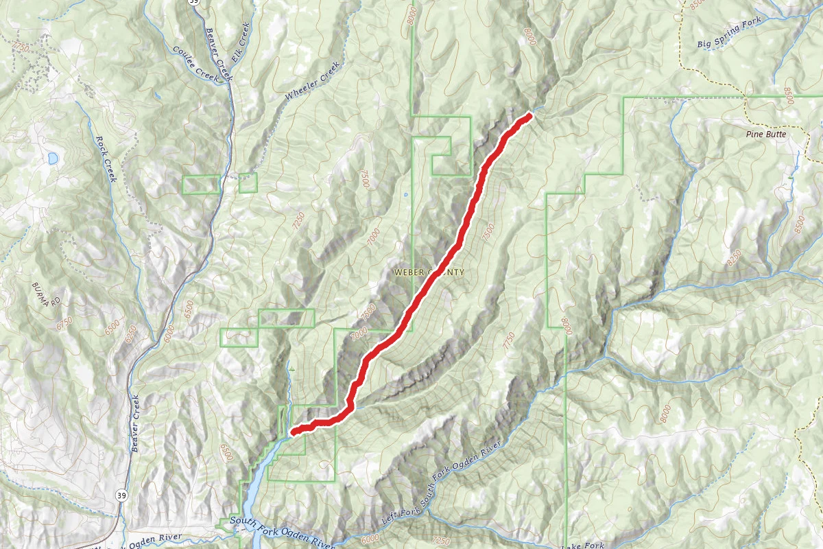 Wheatgrass Canyon Trail