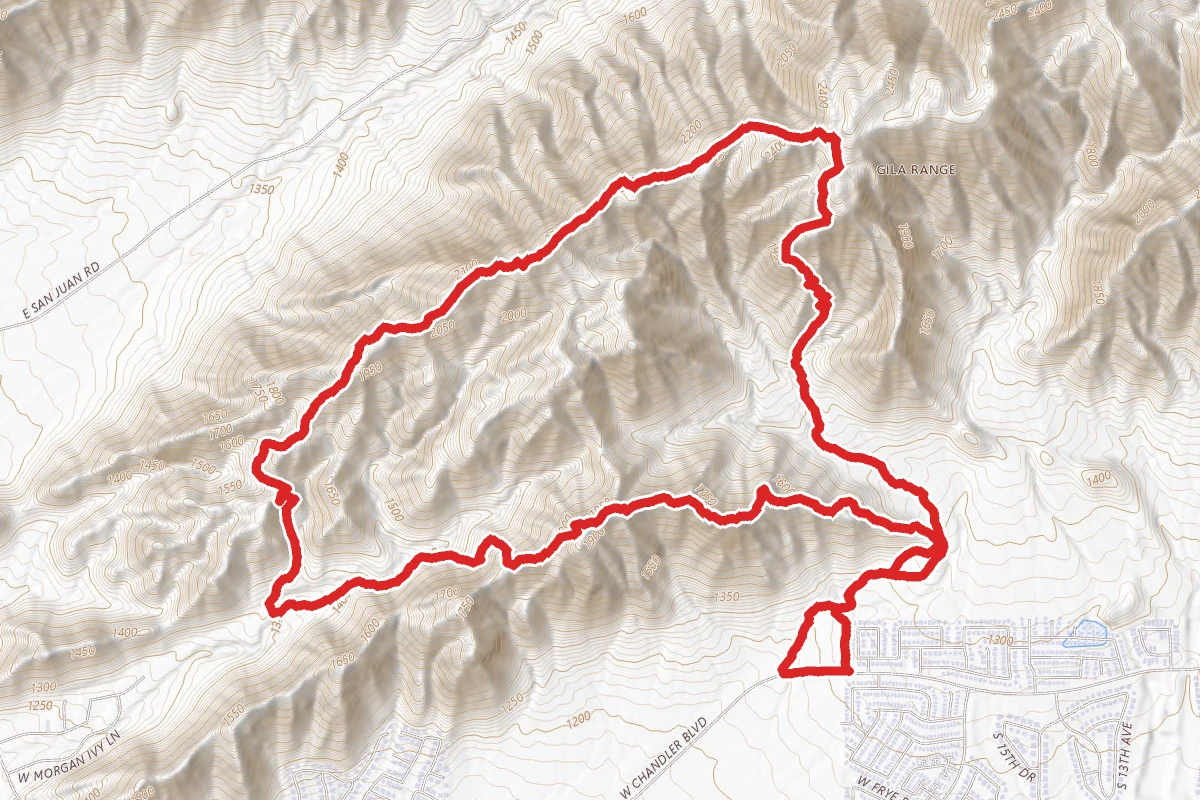 Bursera Trail