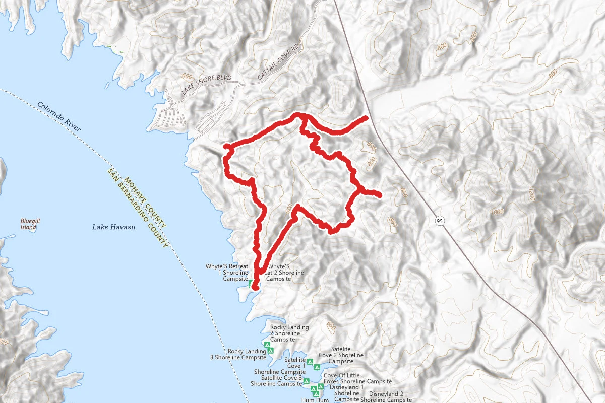 Ripley’s Run and Ted's Trail