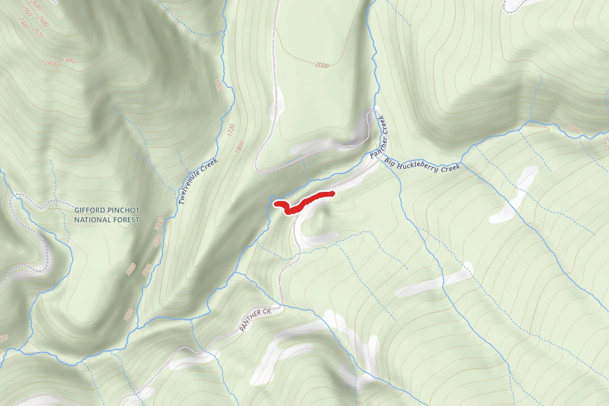 Panther Creek Falls Trail 137