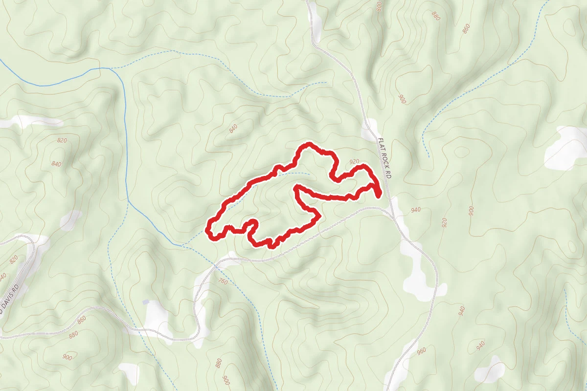 Brown Thrasher Trail Loop
