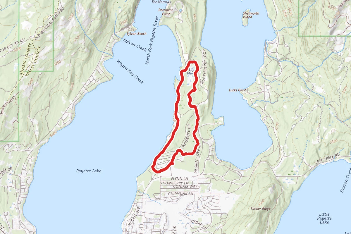 Peninsula, Lily Marsh, and Meadow Marsh Trails Loop