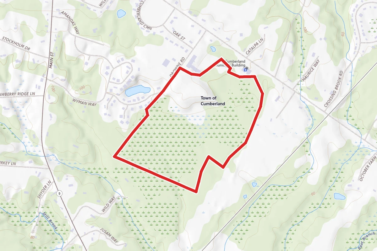 Cumberland Town Forest