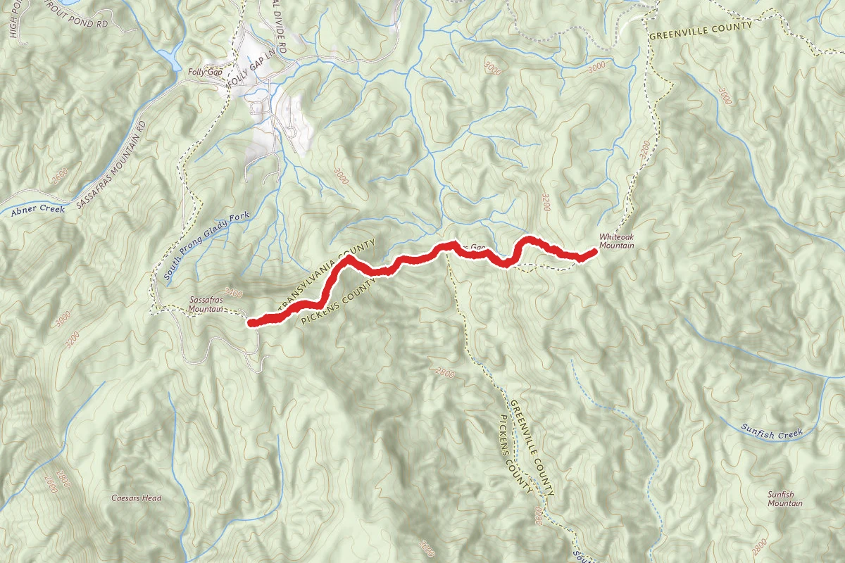 Sassafras Mountain to Whiteoak Mountain