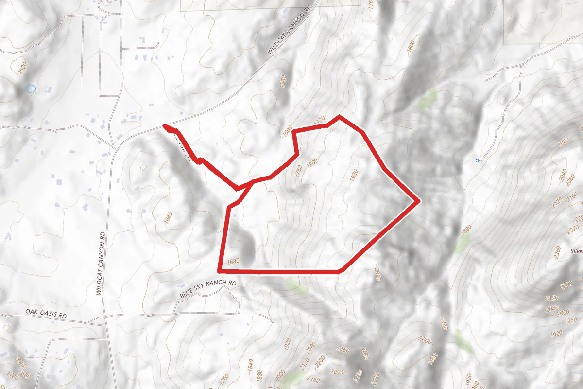 Cinega Trail to Woodward Ridge Trail Loop