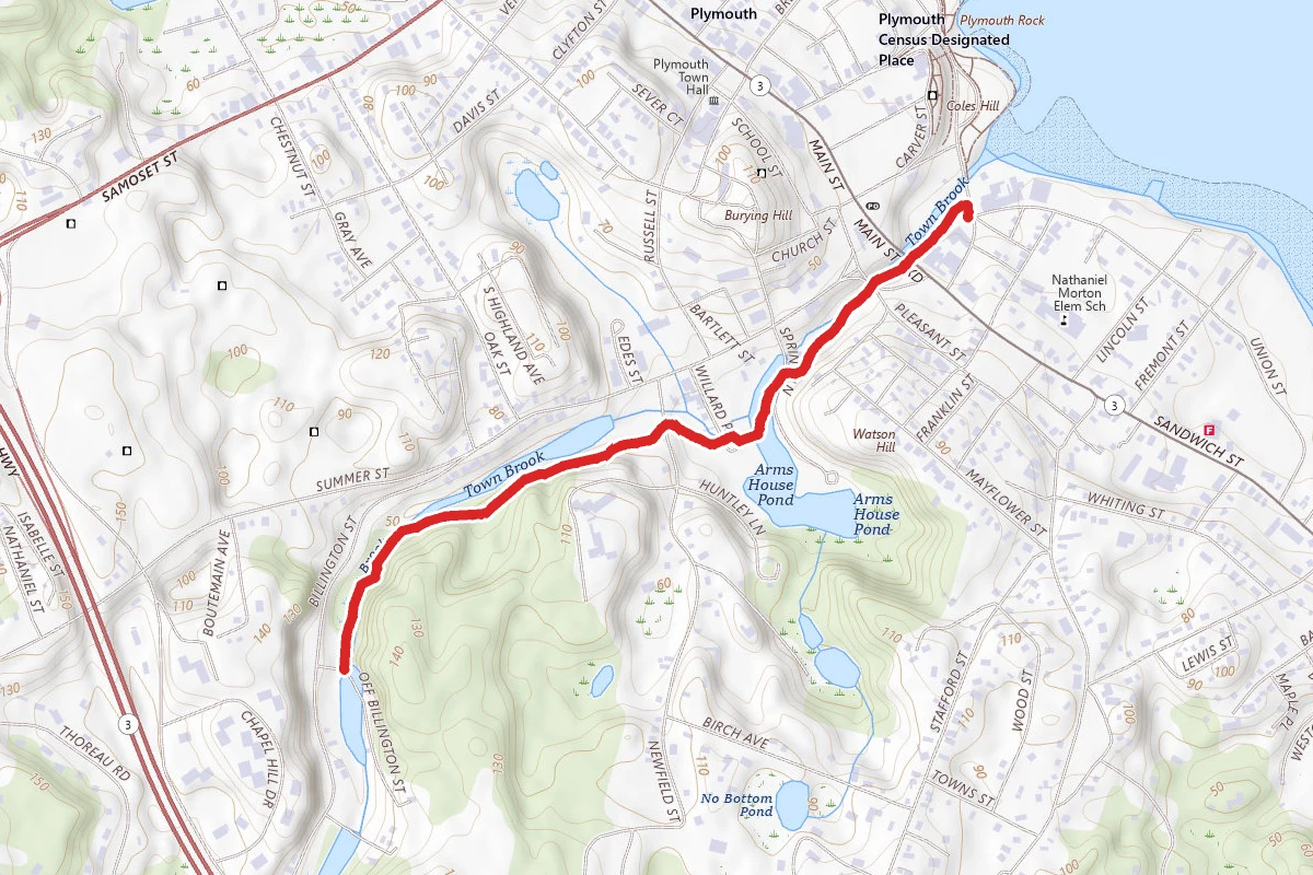 Pilgrim Trail