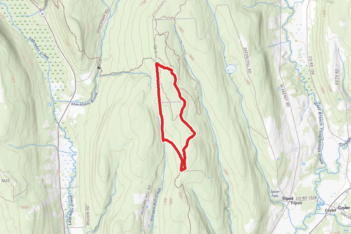 Chickadee Hollow Loop