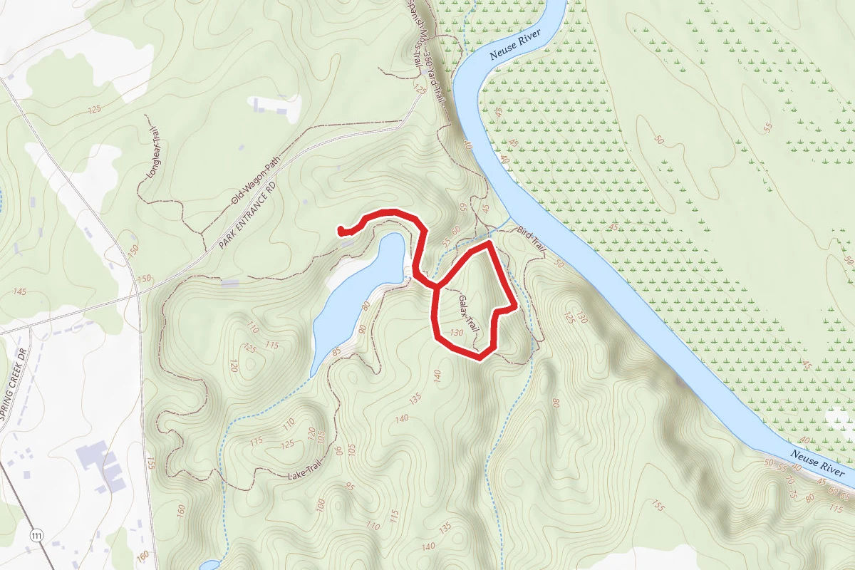 Cliffs of the Neuse Galax Trail