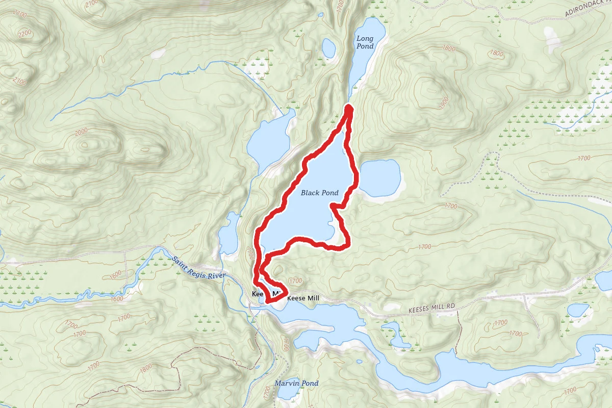 Black Pond Loop