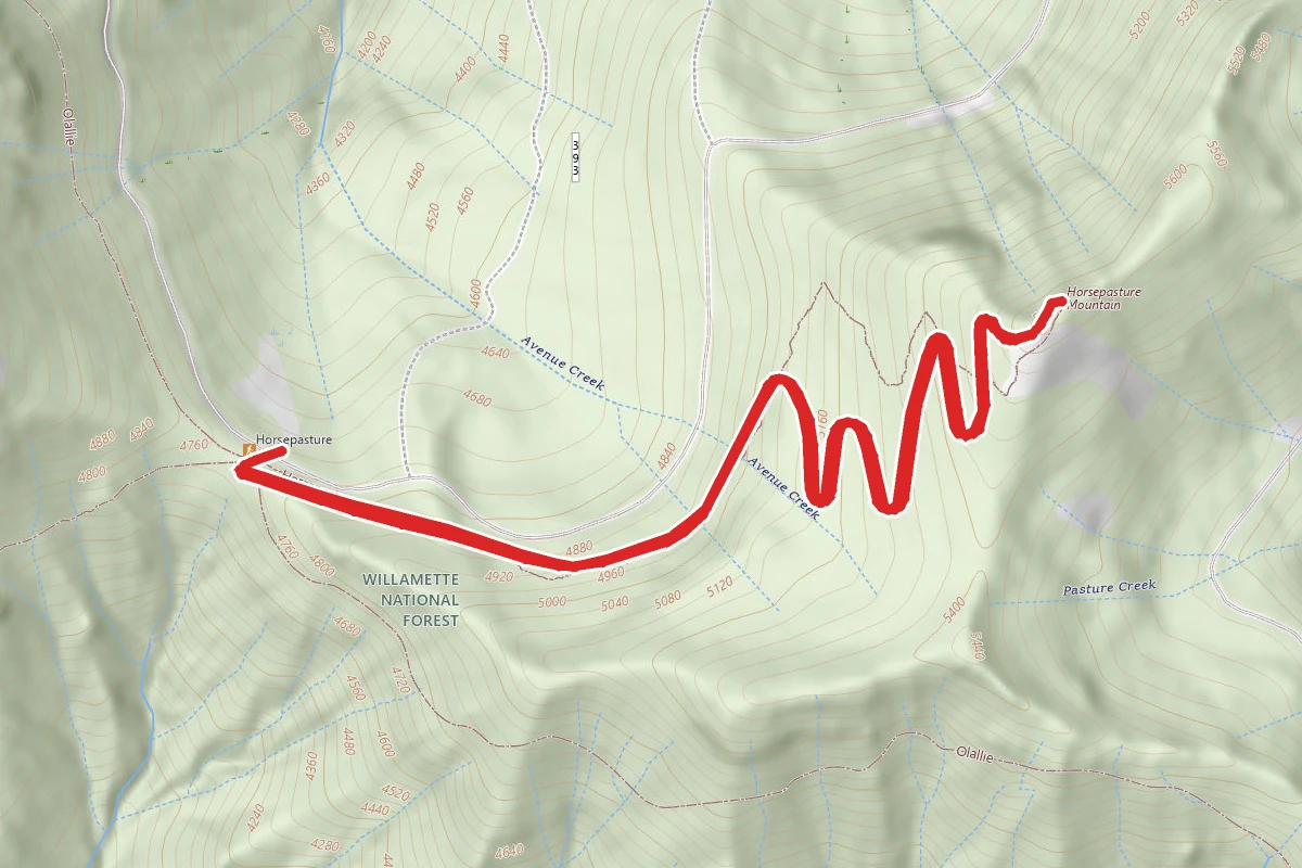 Horsepasture Mountain Trail