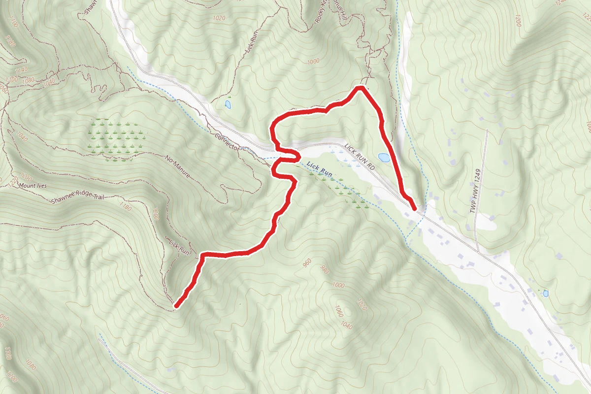 Mt. Ives Trail