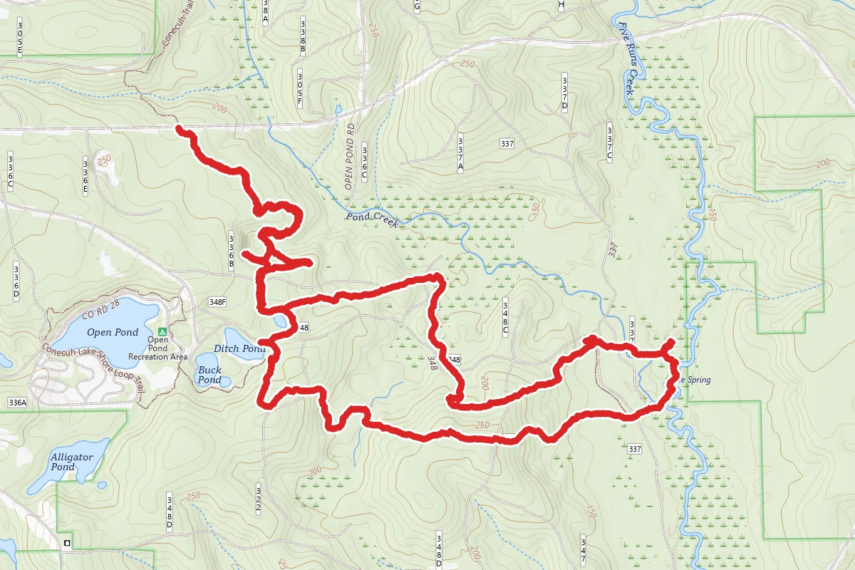 Conecuh Trail South Loop via Open Pond Trailhead