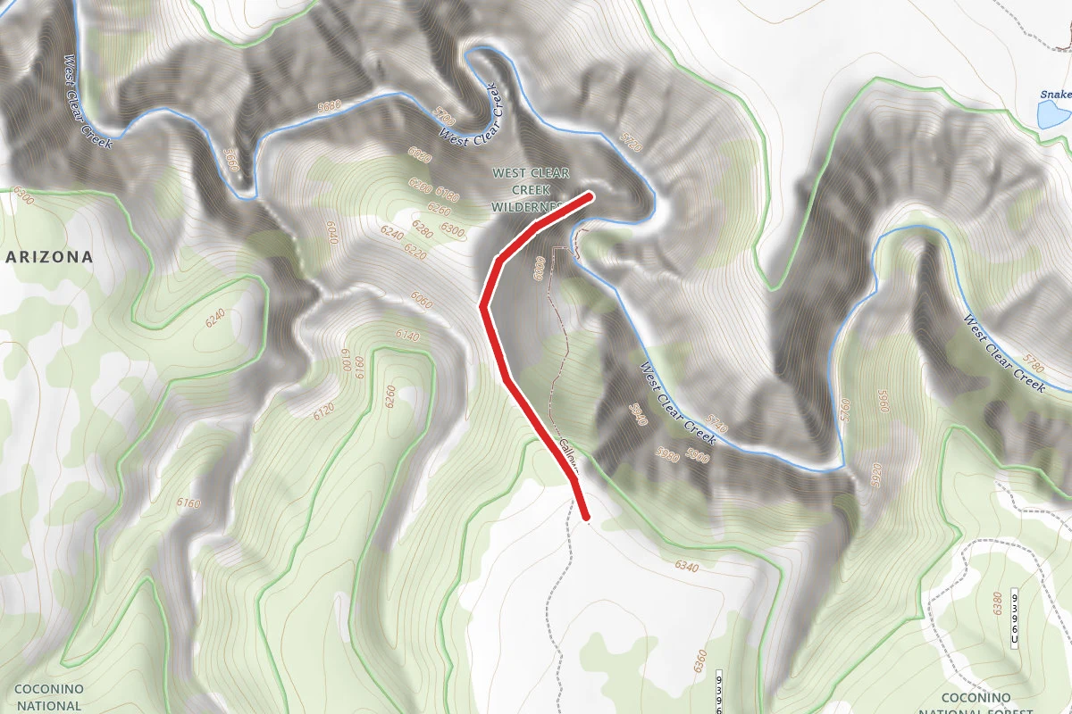 Calloway Trail
