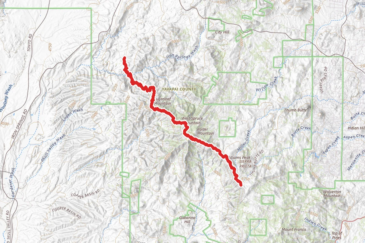 West Spruce Trail #264