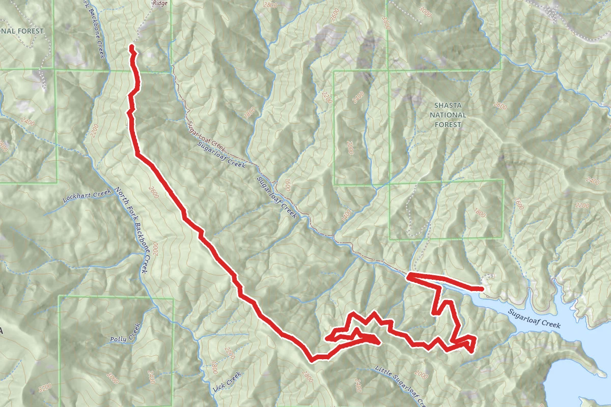 Backbone Ridge Trail
