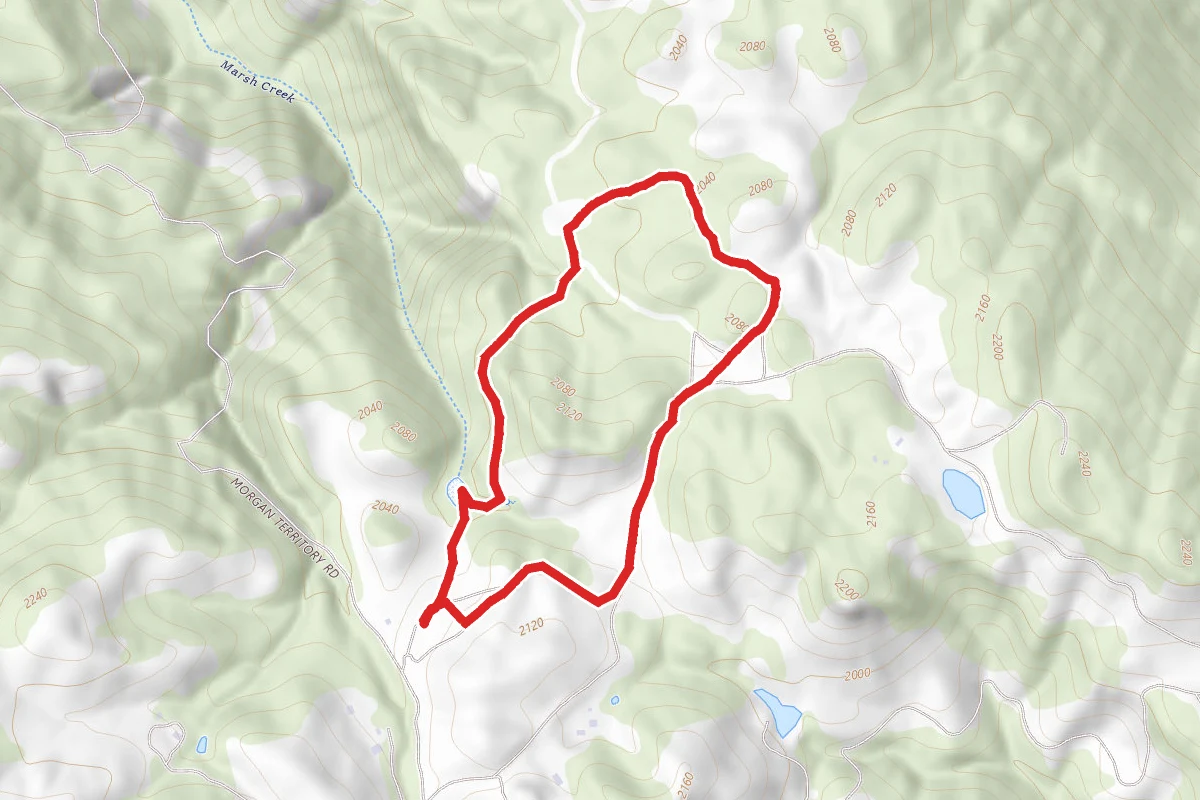 Volvon and Condor Trail Loop