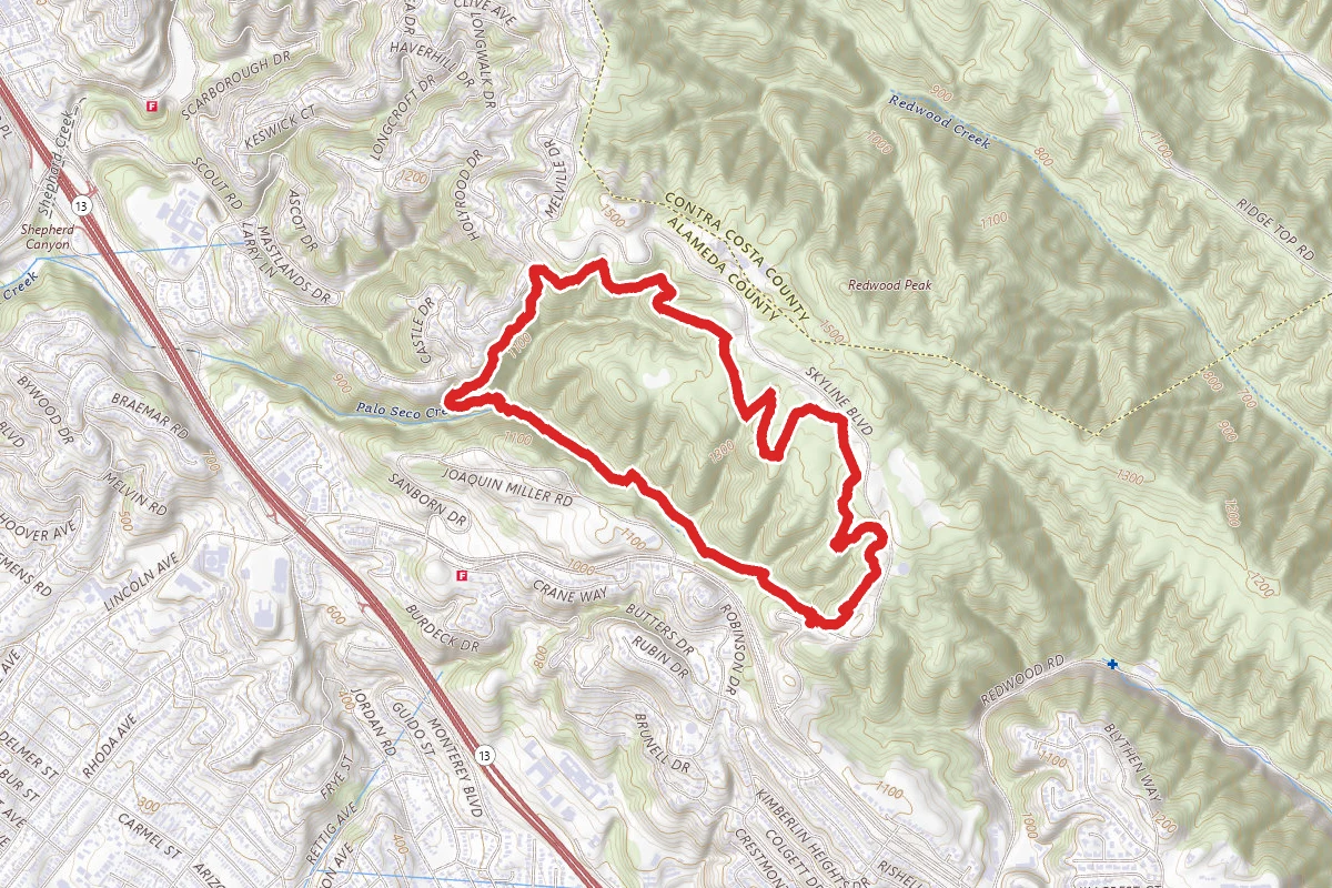Big Trees Trail, Castle Park Trail, and Sinawik Trail Loop