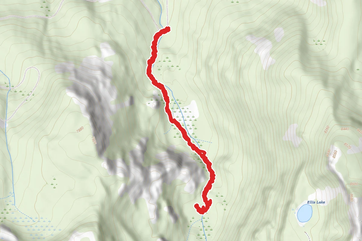 Meadows Trail off Barker Pass Rd