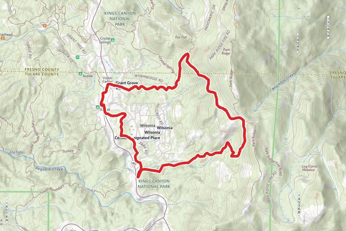Manzanita and Azalea Trail