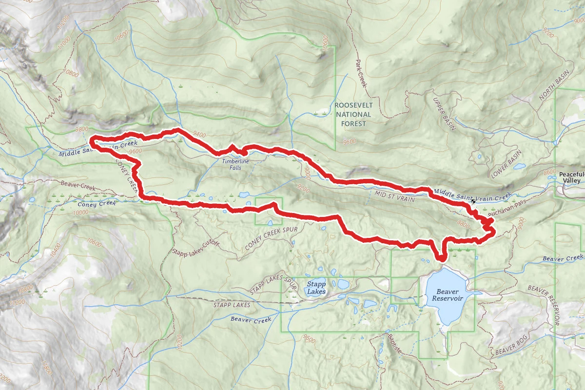 Buchanan Pass Trail and Forest Road 507