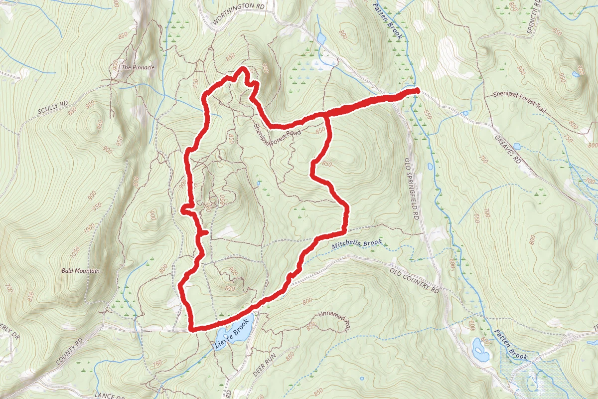 Blue Blaze and Old Country Road Loop