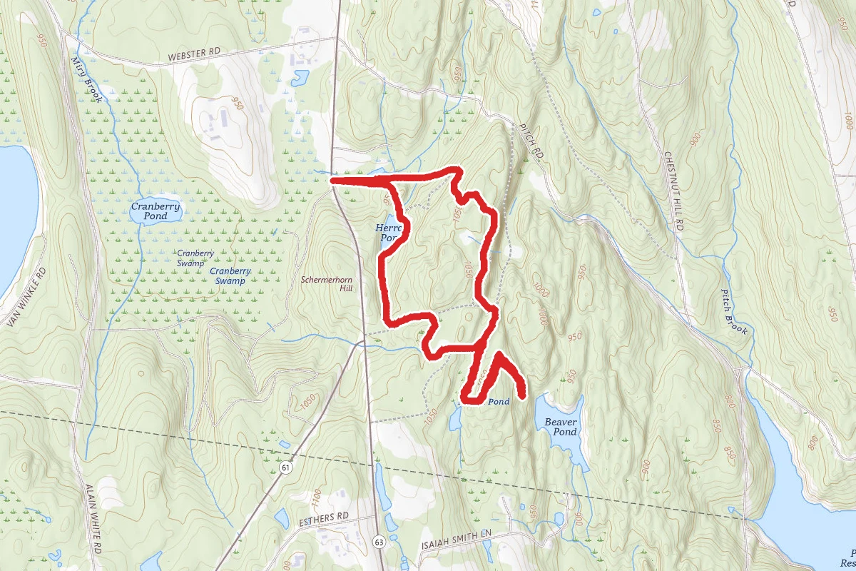 Mattatuck to Beaver Pond Loop
