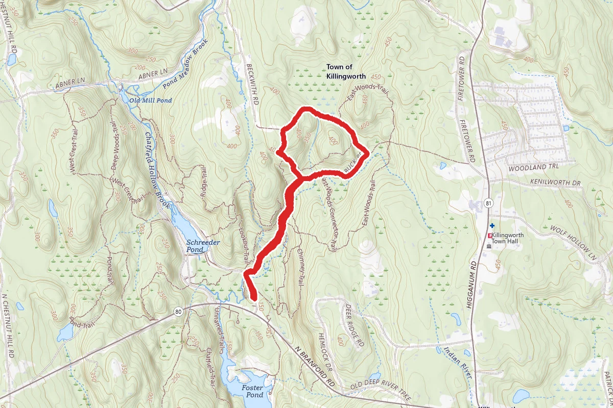 Buck Road and Blue Trail
