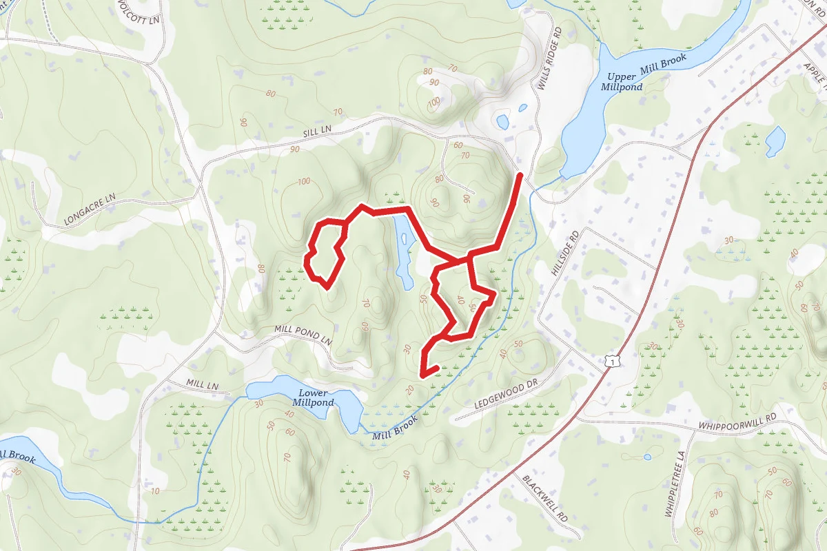 Red Trail to Blue Trail Loop