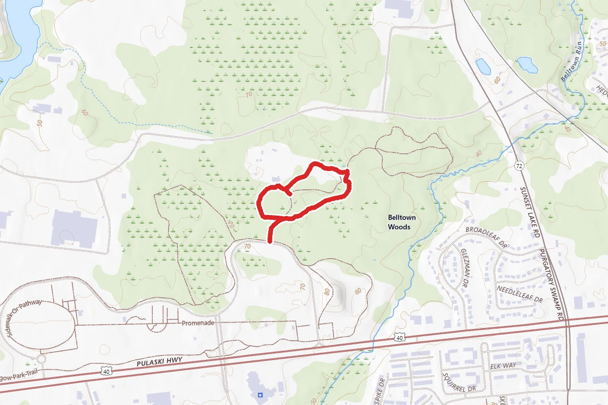 Short Glasgow Bat Loop