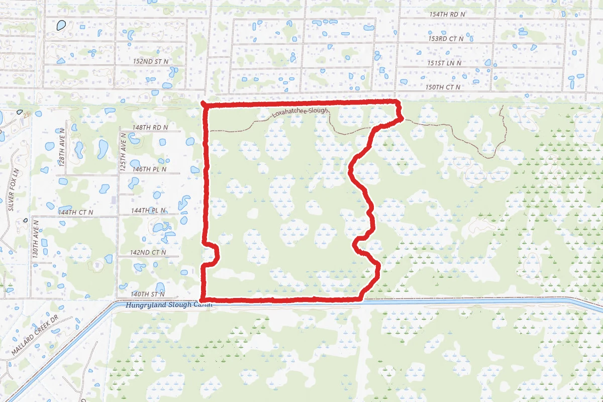 Loxahatchee Slough Nature Walk
