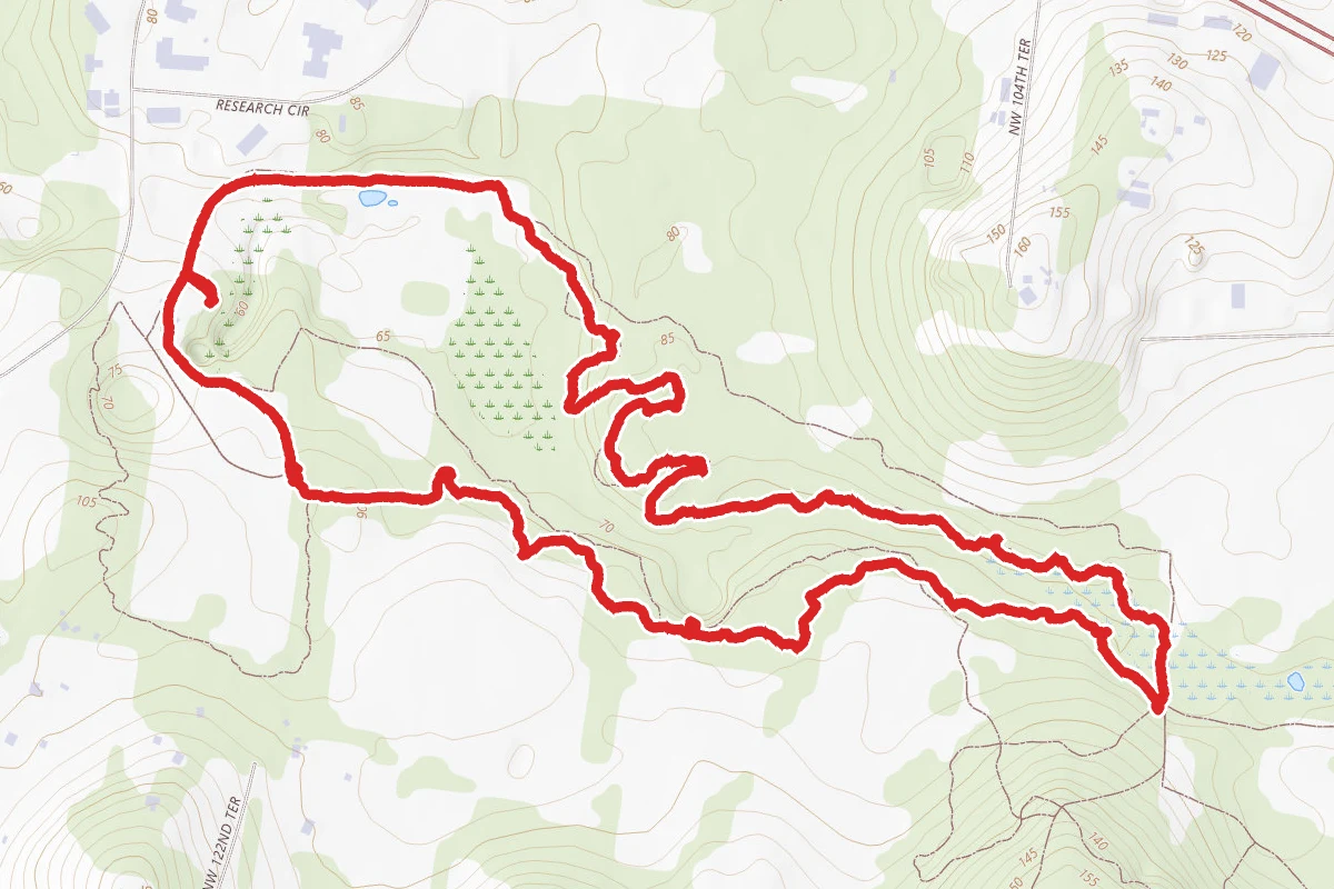 San Felasco Loop