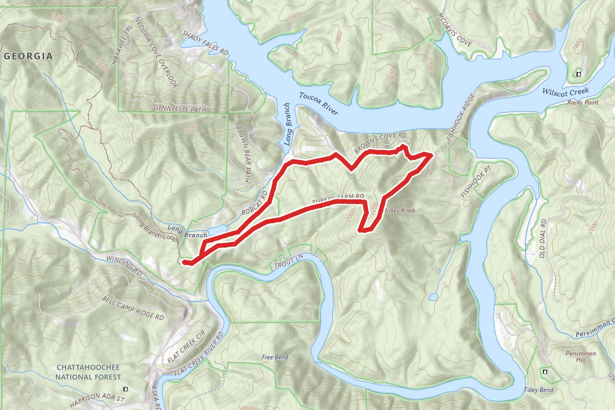 Hickey Knob Trail