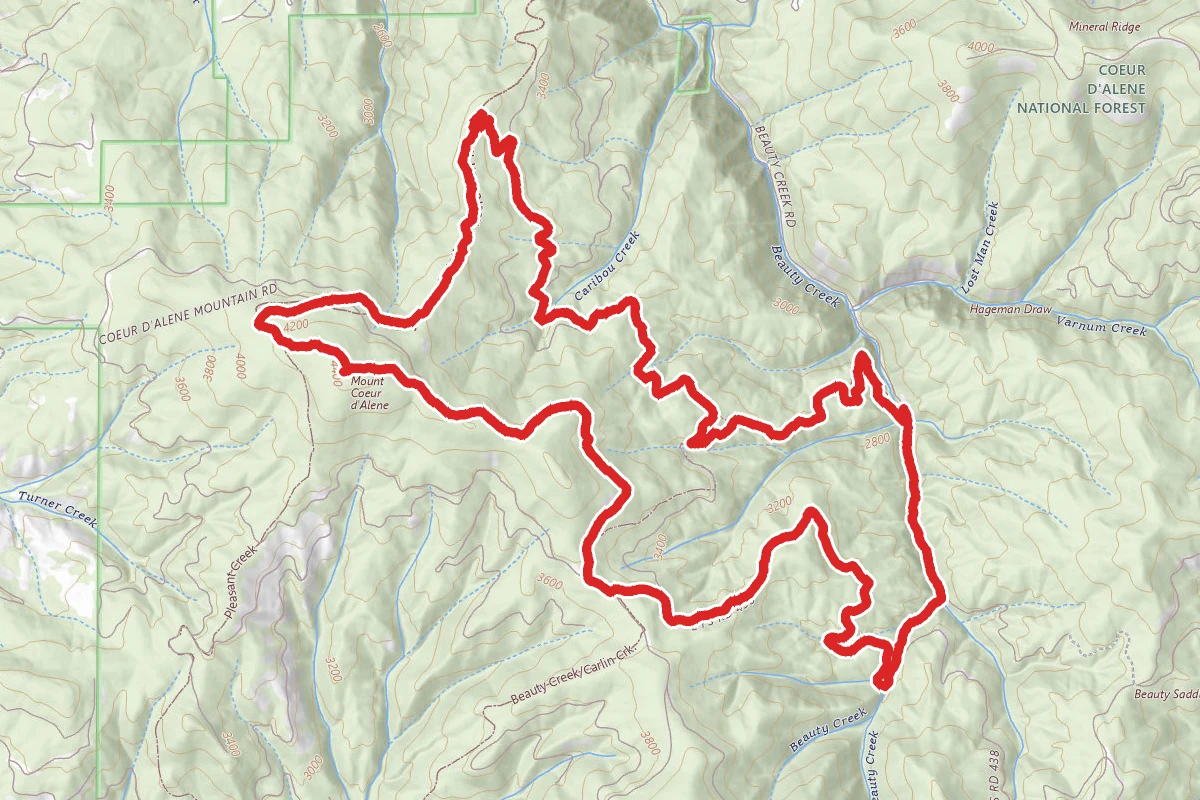 Caribou Ridge, Trail 258, and Trail 257 Loop