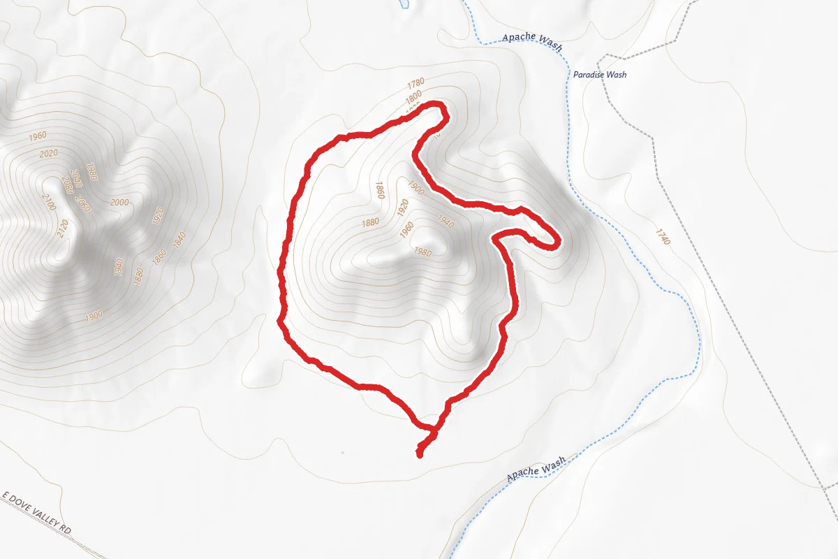 Sidewinder Trail to Ocotillo Trail Loop
