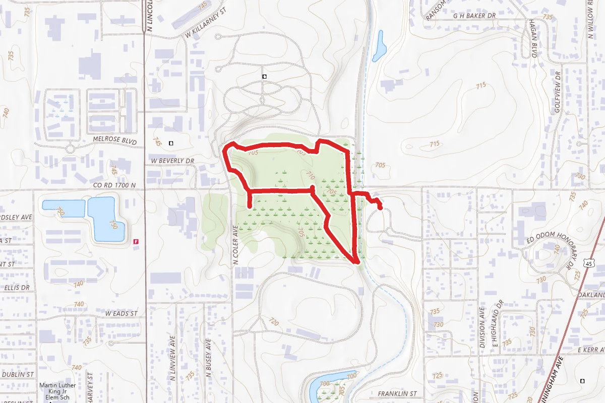 Busey Woods Loop