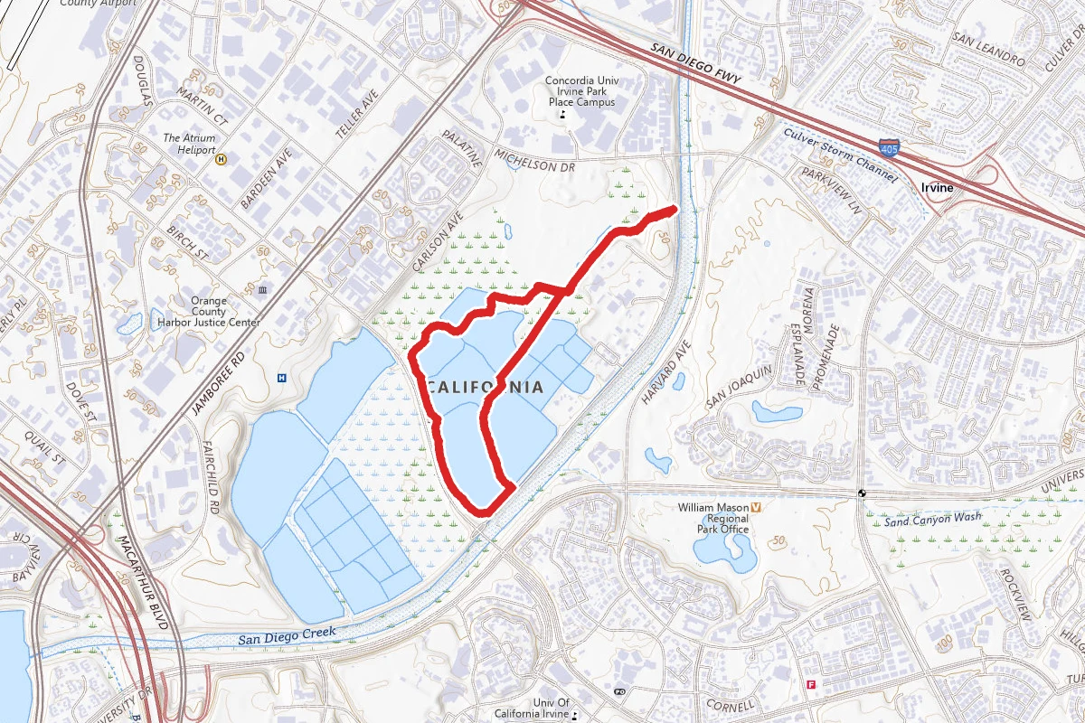 Treehill, South Loop, and Midway Loop