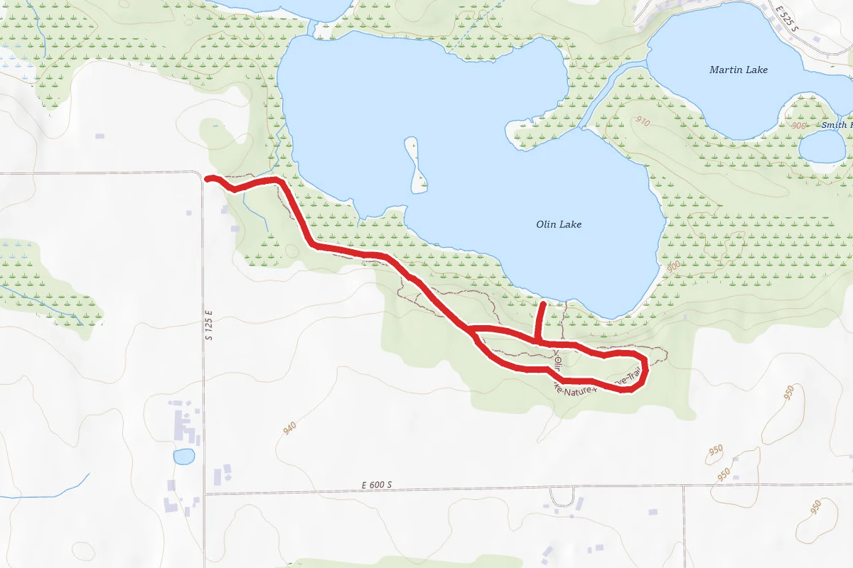 Olin Lake Nature Preserve Trail