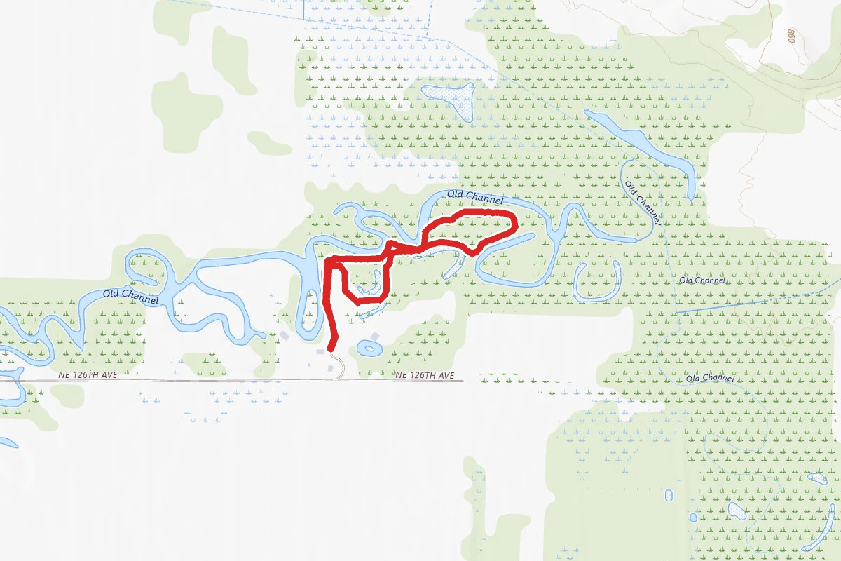 Cardinal Flower Loop