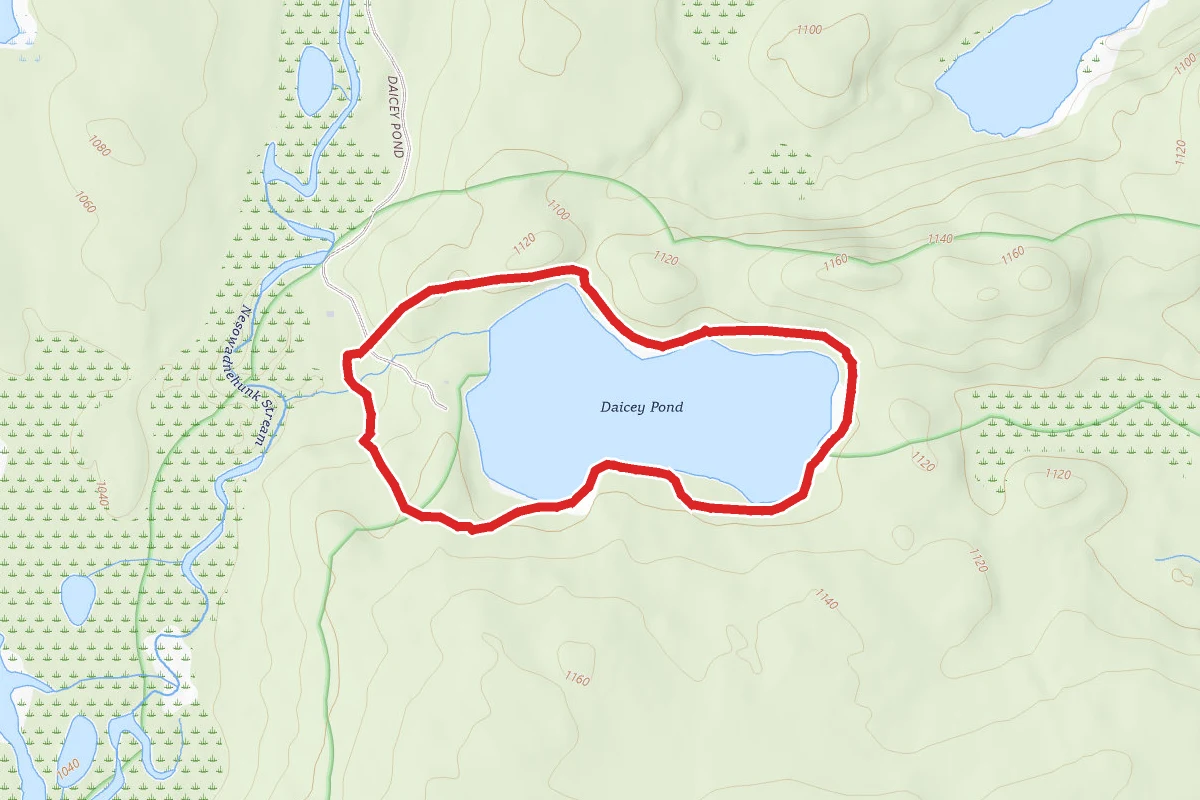 Daicey Pond Nature Trail