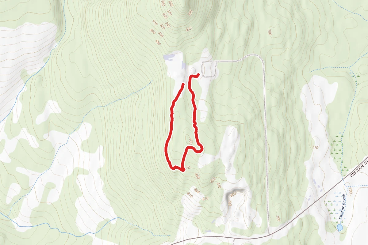 Moose Trail