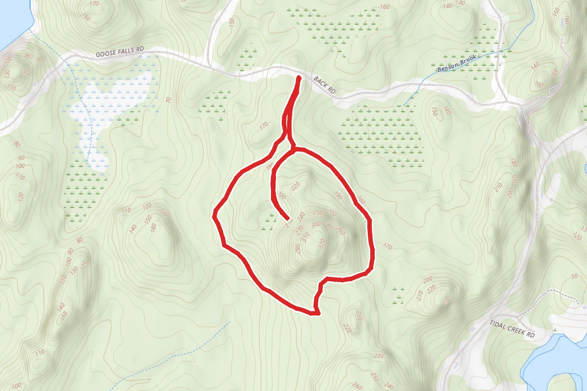 Backwood Mountain Trail