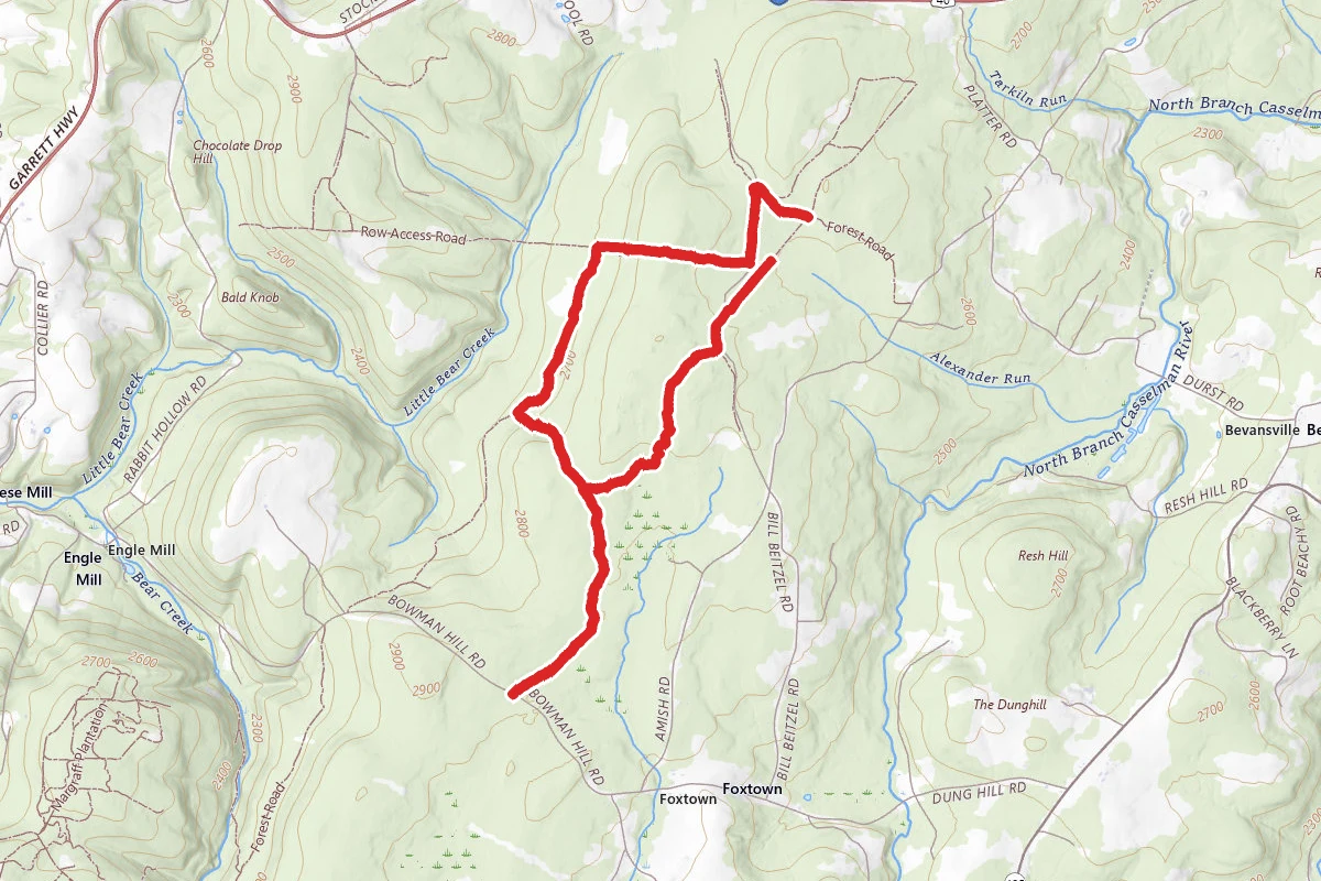 Negro Mountain Loop