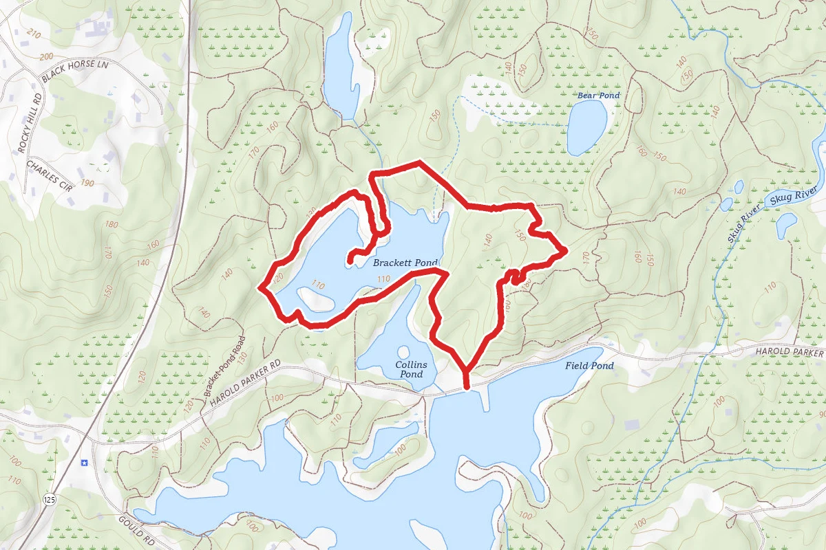 Agawam Loop Trail