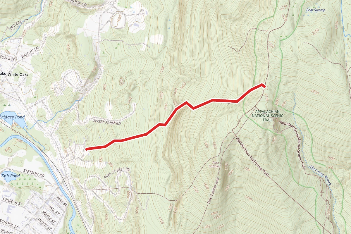 Chestnut Trail to the Class of '98 Trail to the Appalachian Trail