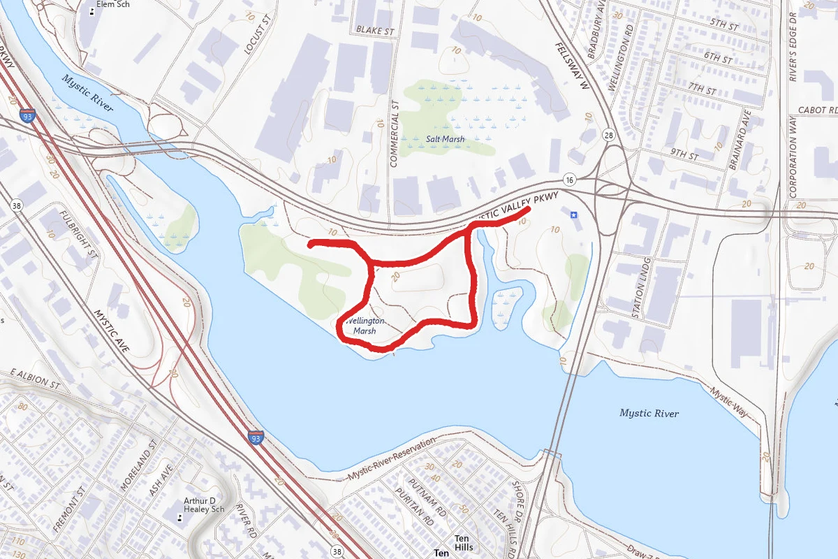 Washington Marsh Loop