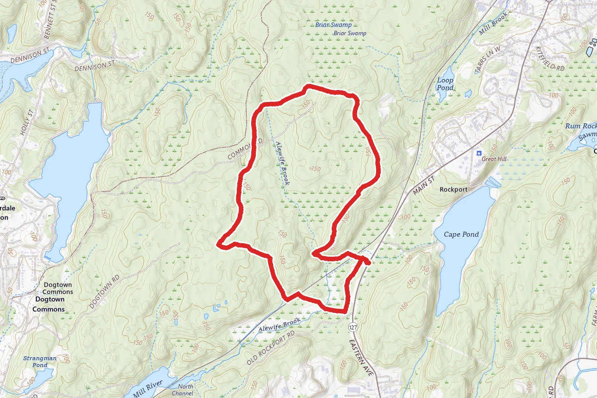 Nellies Trail to Tarr Trail Loop