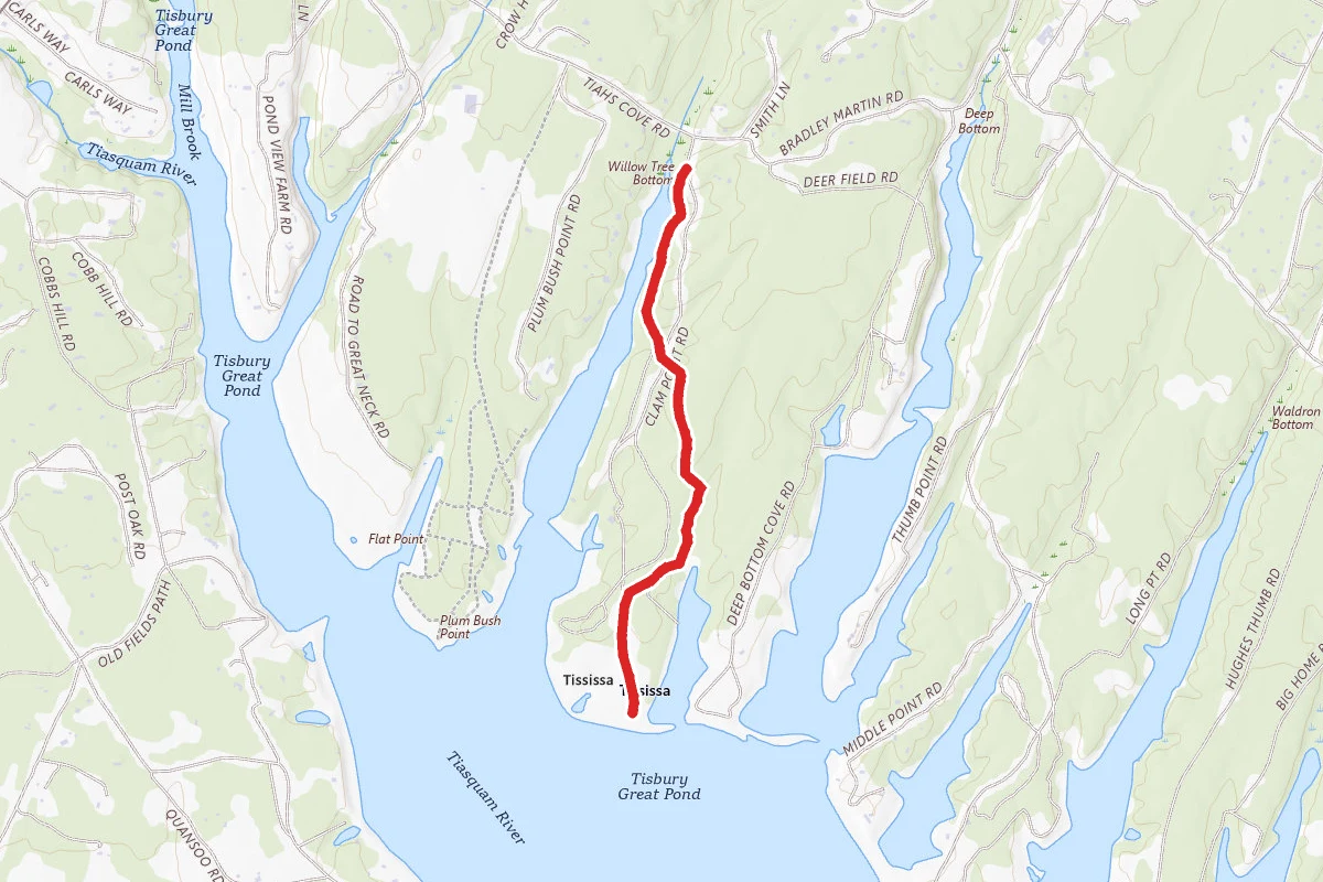 Tisbury Great Pond Trail